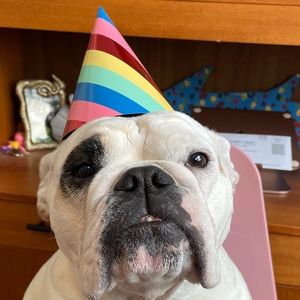 Meet your Posher, Brenda a